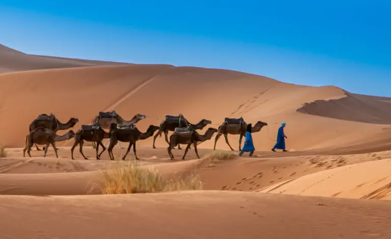 6 Días desde Tánger a Marrakech por Merzouga