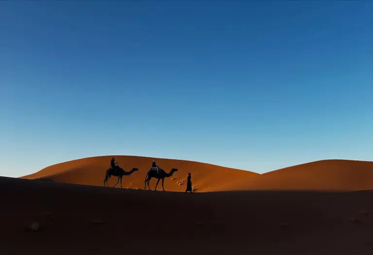 Tour de 2 días desde Marrakech al desierto de Zagora
